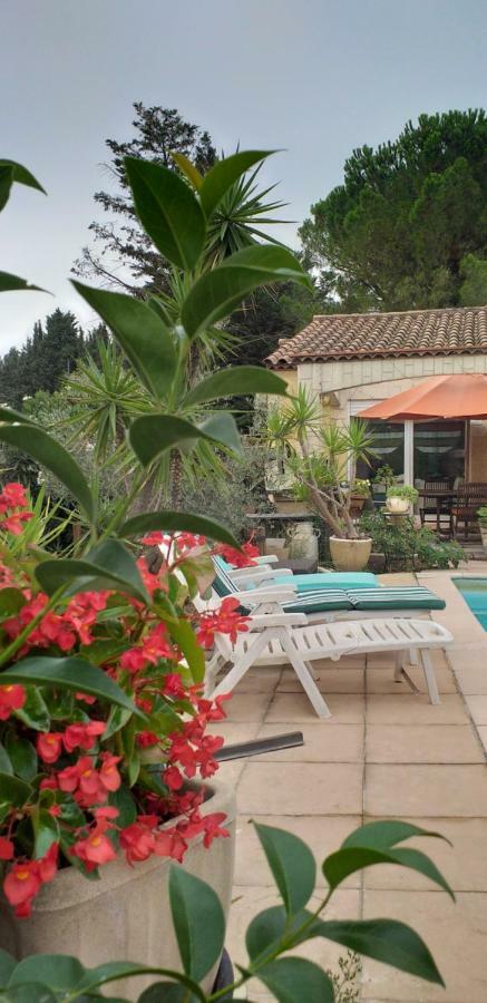 Privatunterkunft Chez Mamiyo Gallargues-le-Montueux